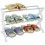 Zapatera Rack 3 Niveles-Plateado con Blanco
