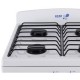 Parrilla 4 Quemadores IEM PSI51BB-Blanco - Envío Gratuito