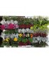 Jardin Vertical Hagalo Usted Mismo Con Riego Automático SMART GARDEN 2V1H (121cm De Alto X 68cm De Ancho)