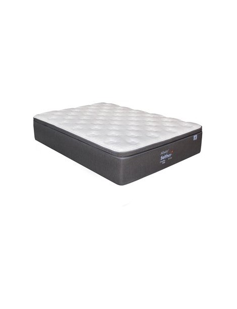 Colchon Allendorf Slether Queen Size Sin Box Dormimundo - Envío Gratuito