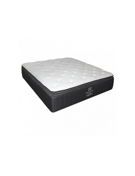 Colchon Aristoteles Sealy Queen Size Dormimundo - Envío Gratuito