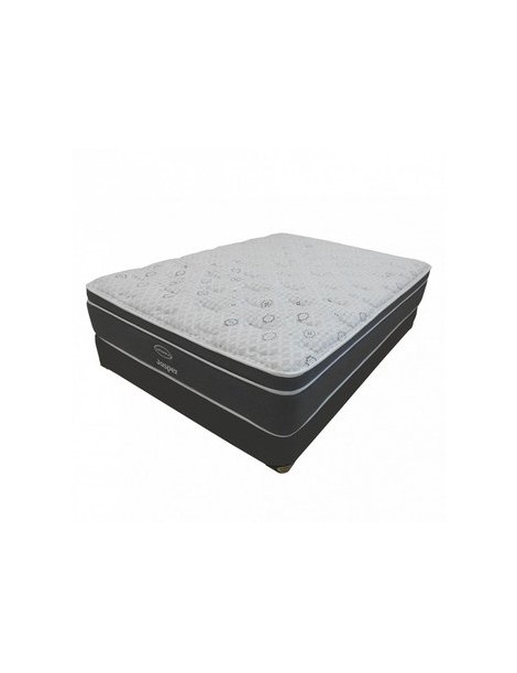 Colchon Jgo. Jasper America Queen Size Dormimundo - Envío Gratuito