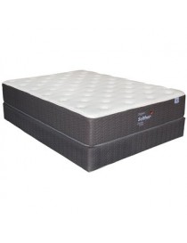 Colchon Jgo. Selther Dargun Queen Size Con Box - Dormimundo - Envío Gratuito