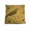 Cojín Decorativo Ave 45X45 Multicolor