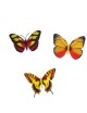 MagiDeal 10pcs Imanes Mariposas Artificiales Para La Decoración Del Hogar - Envío Gratuito