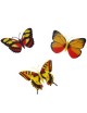 MagiDeal 10pcs Imanes Mariposas Artificiales Para La Decoración Del Hogar - Envío Gratuito