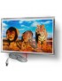Calefactor Ultradelgado en Vidrio Litografiado Felinos salvajes 60x90cm 330w CalorSolar CERATI 051CaSol -Temático