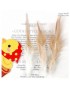 Generic 50pcs Coque Gallo Gallo Silla De Plumas 4-6 Pulgadas - Color Natural